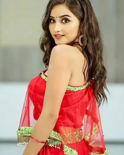 Call Girls Service Desuri